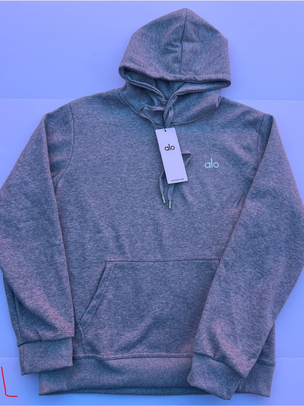 ALO Yoga Unisex Heather Gray Pullover Hoodie